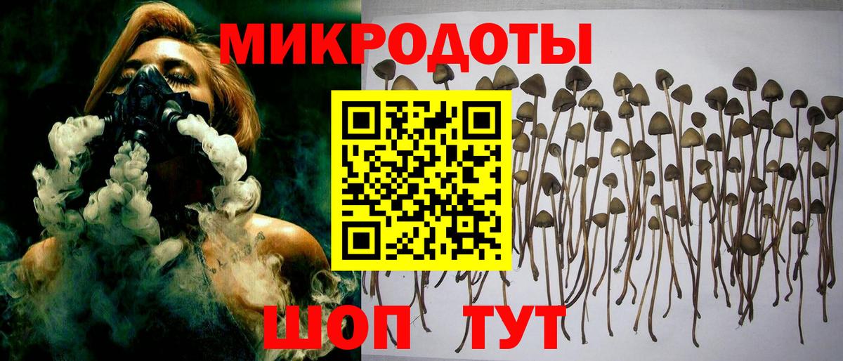 Псилоцибиновые грибы Magic Shrooms Новокубанск