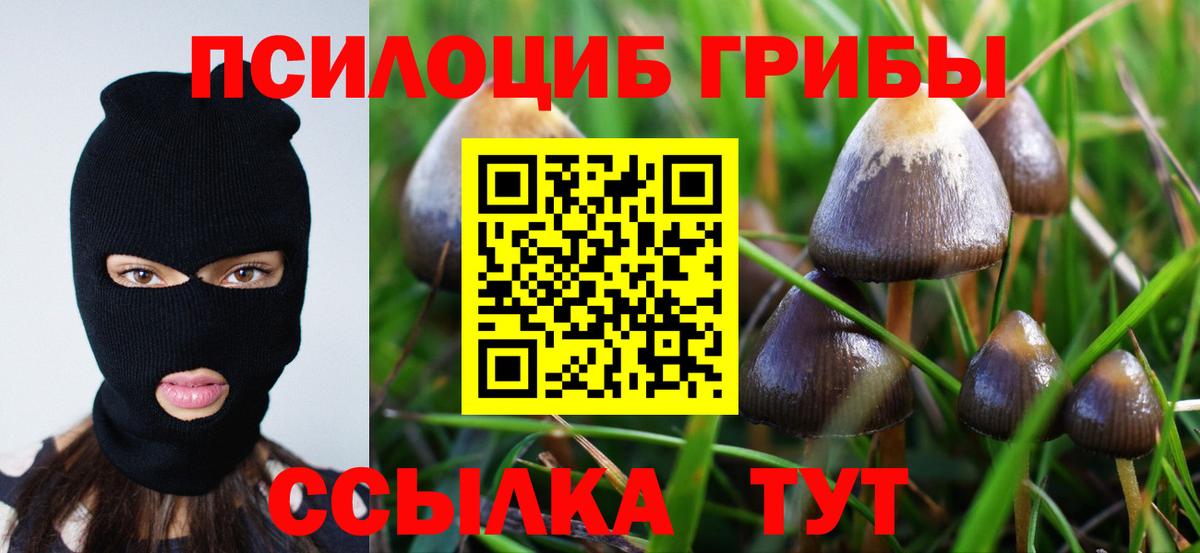 Галлюциногенные грибы мицелий  Вход с VPN  Новокубанск 